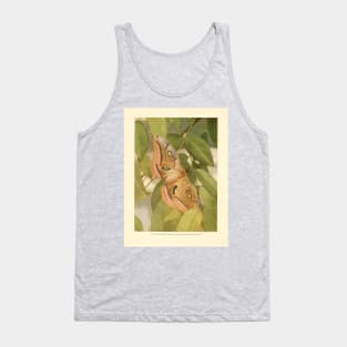 Moths of the Limberlost by Gene Stratton-Porter Tank Top